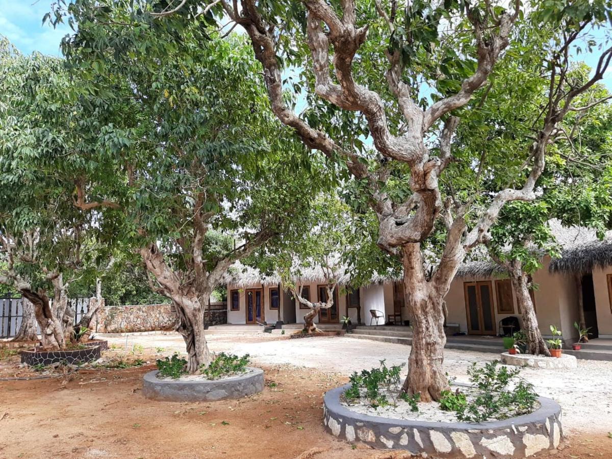 נמבראלה Mulia Bungalows מראה חיצוני תמונה